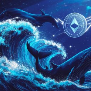 aave rises whales influence