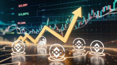 binance coin rises dex volume