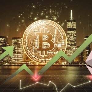 bitcoin etfs rise ether stabilizes