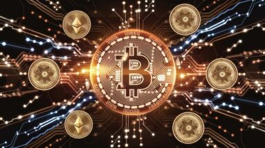 dtx exchange presale sparks enthusiasm