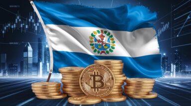 el salvador increases bitcoin holdings