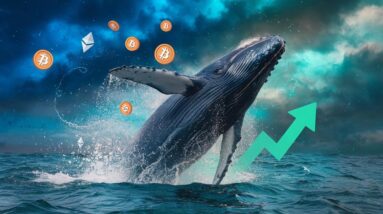 whales support aave surge