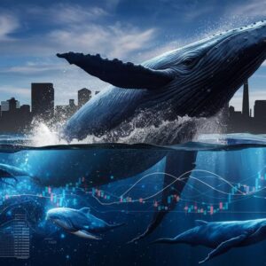 whales transform intel markets